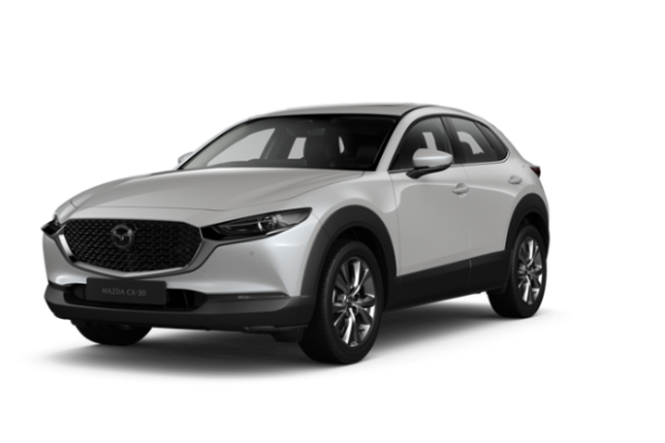 Snowflake White Pearl Mica