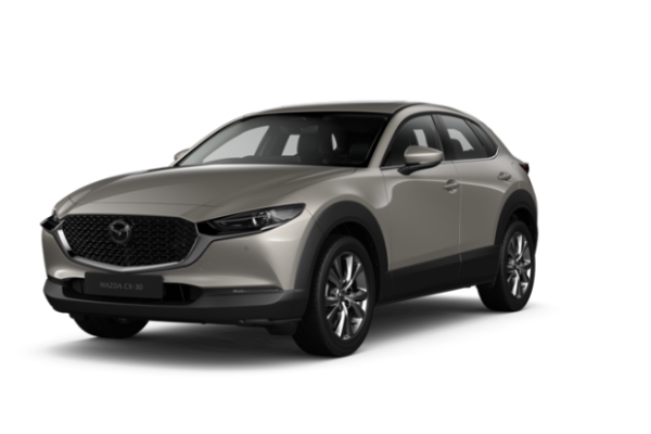 Platinum Quartz Metallic